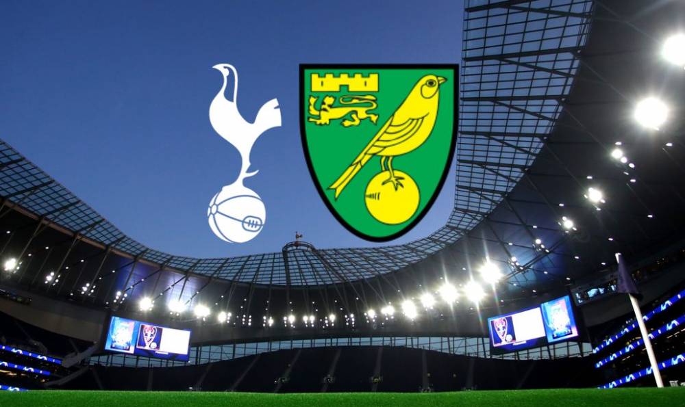 开云体育入口-热刺客场战平诺里奇城，积分增加一分