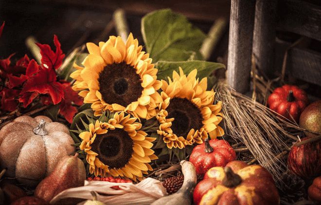 法国甲级联赛节节失利压力巨大的简单介绍 法国甲级联赛节节失利压力巨大的简单介绍