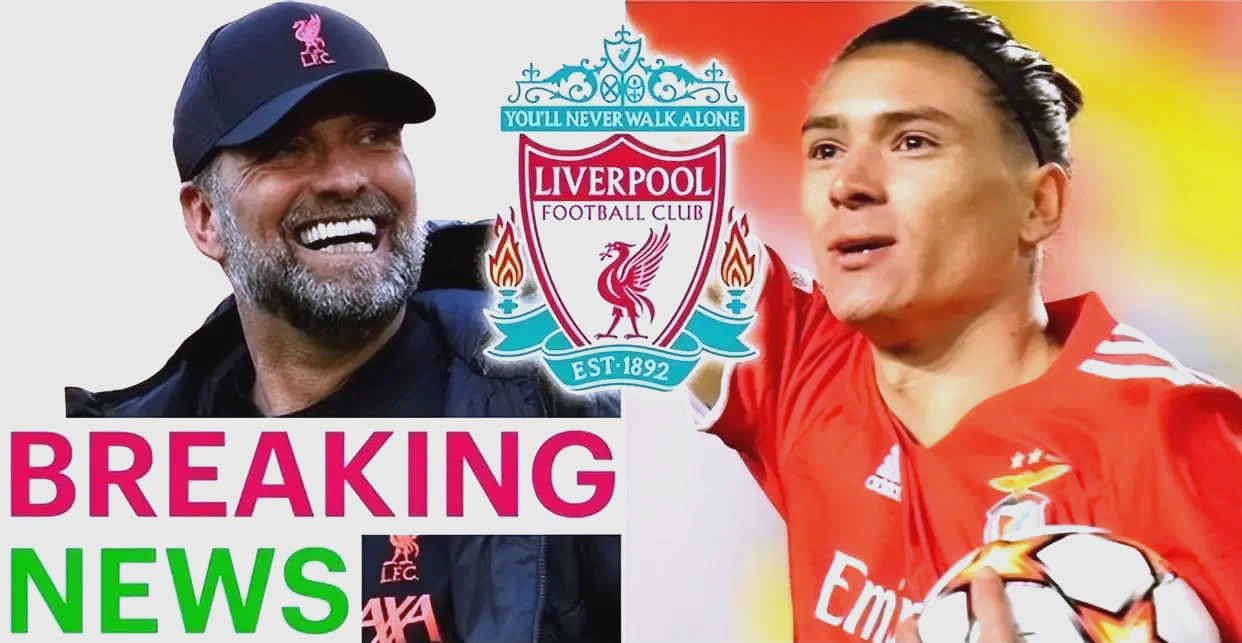 开云官网-利物浦新签约球员融入球队积极备战