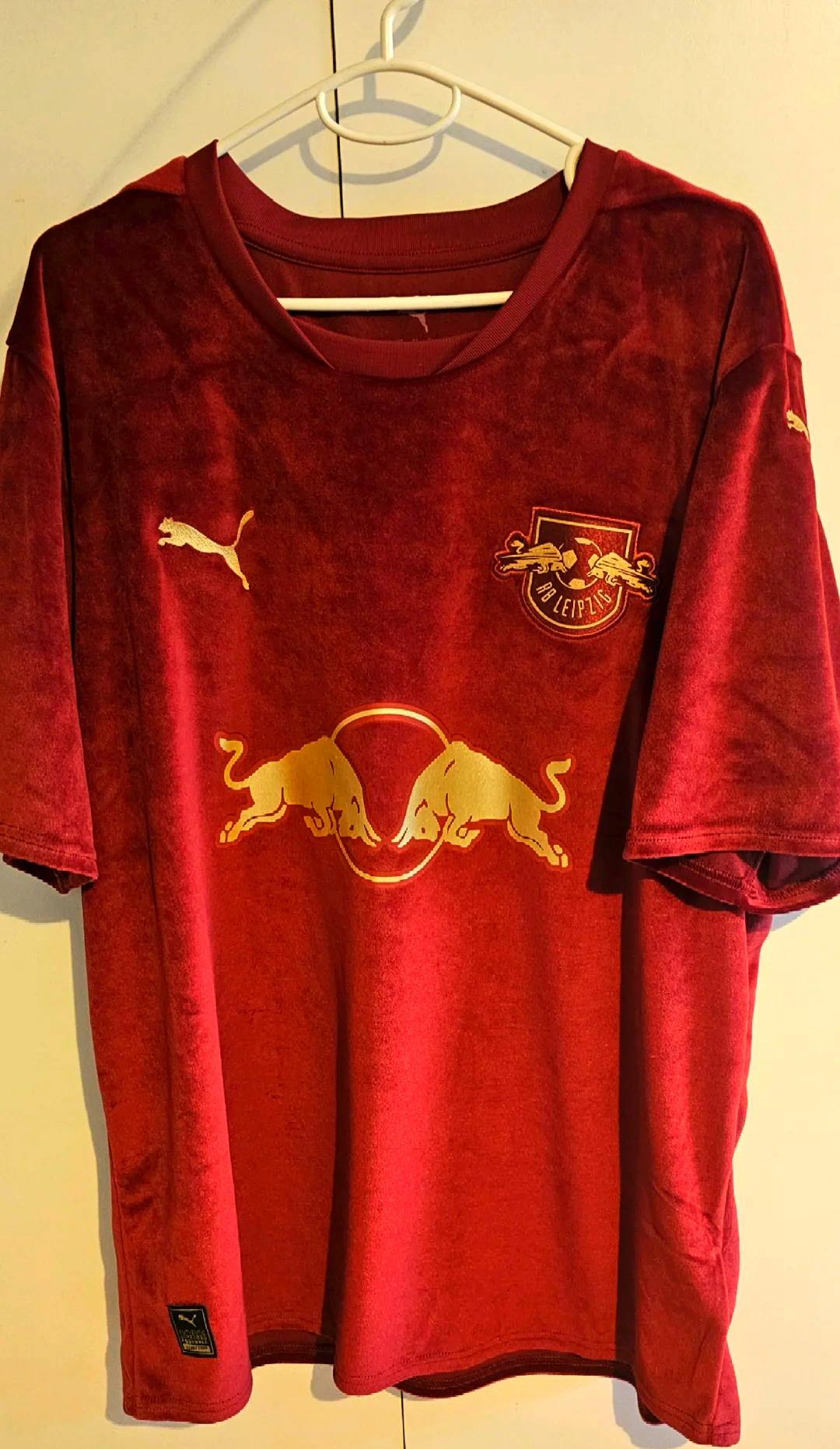 开云体育登录-RB莱比锡队的团队合作备受认可