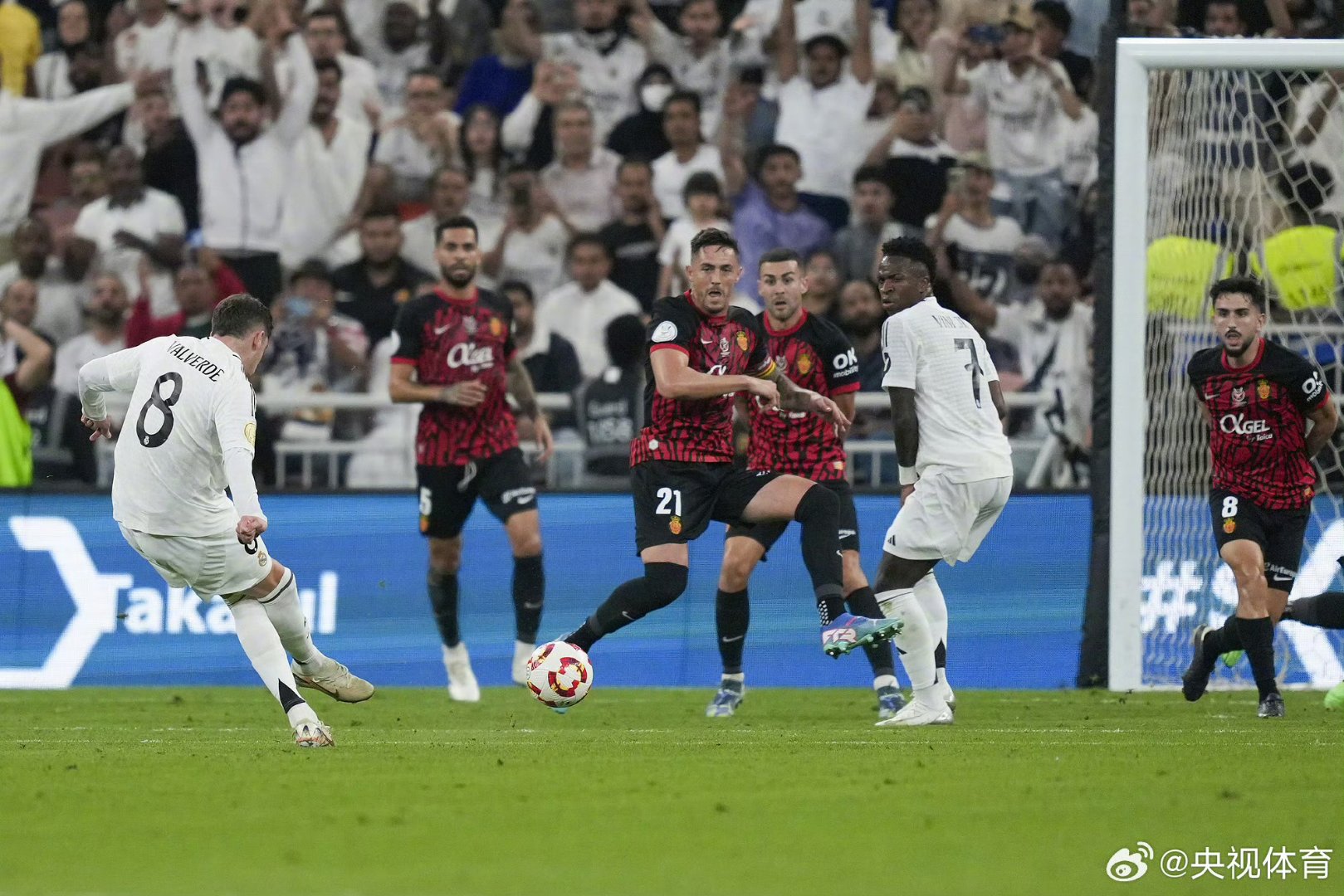 开云平台-西班牙队连胜再次进入半决赛