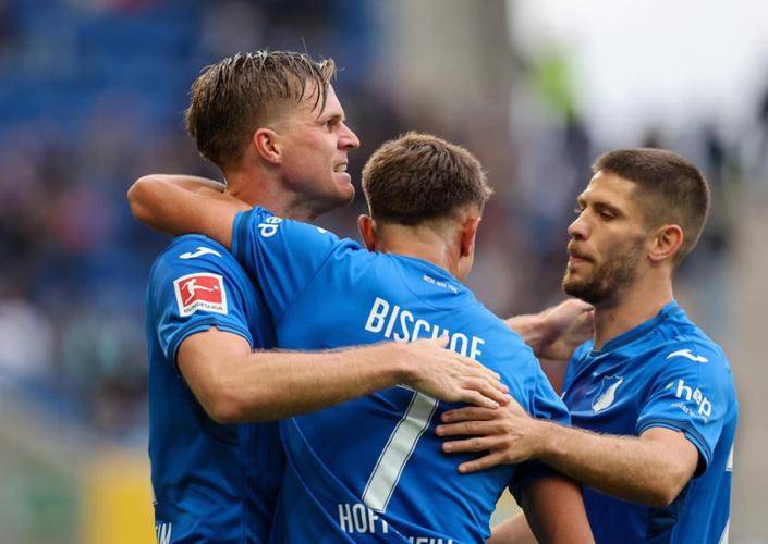 开云下载-霍芬海姆主场击败强敌，实力得到认可